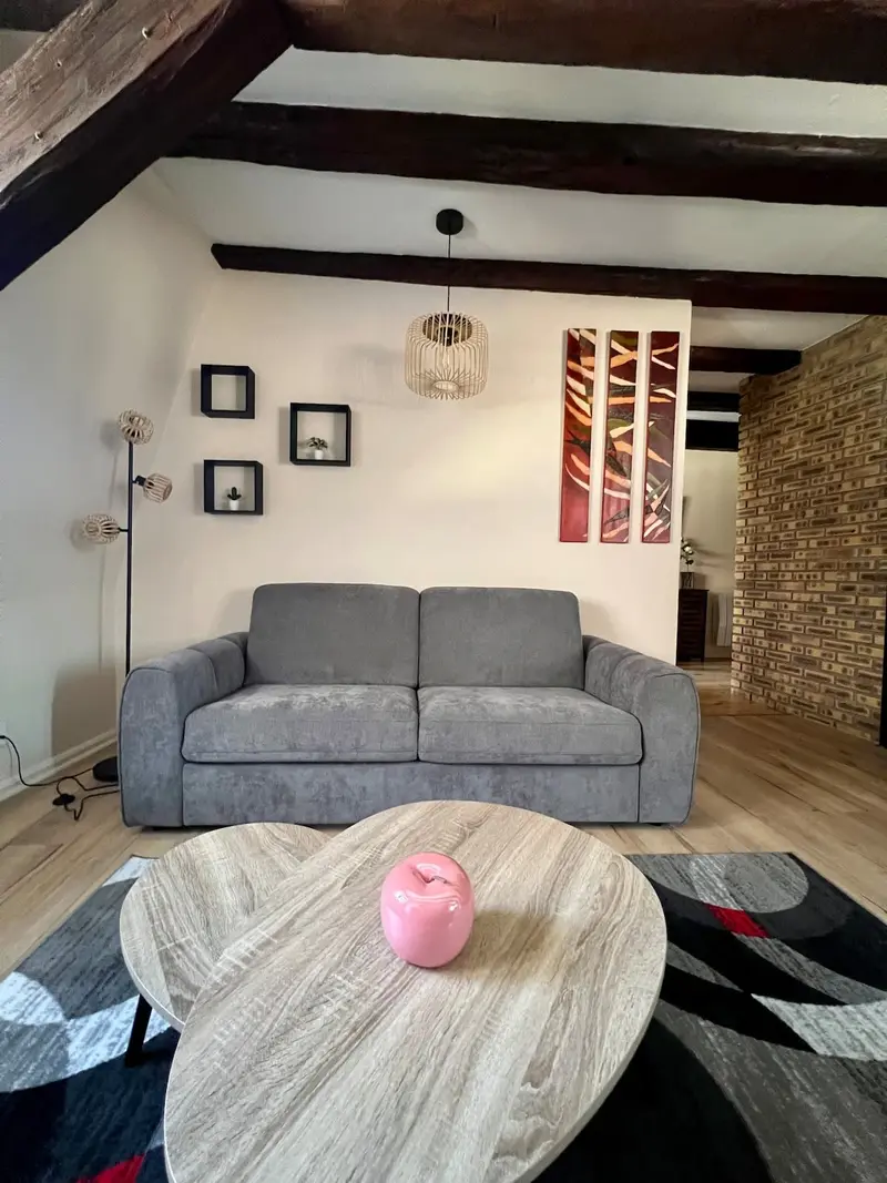 Appartement 2 pièces cocooning au cœur d'Obernai à Obernai