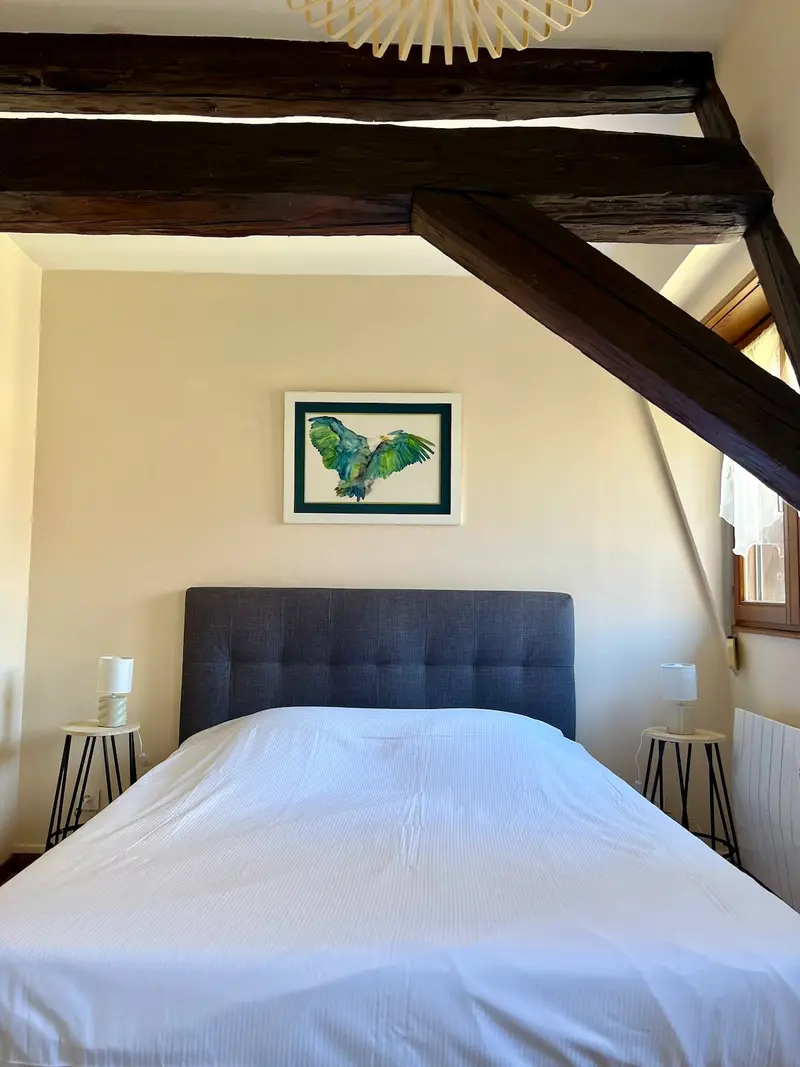 Appartement 2 pièces cocooning au cœur d'Obernai, photo 3