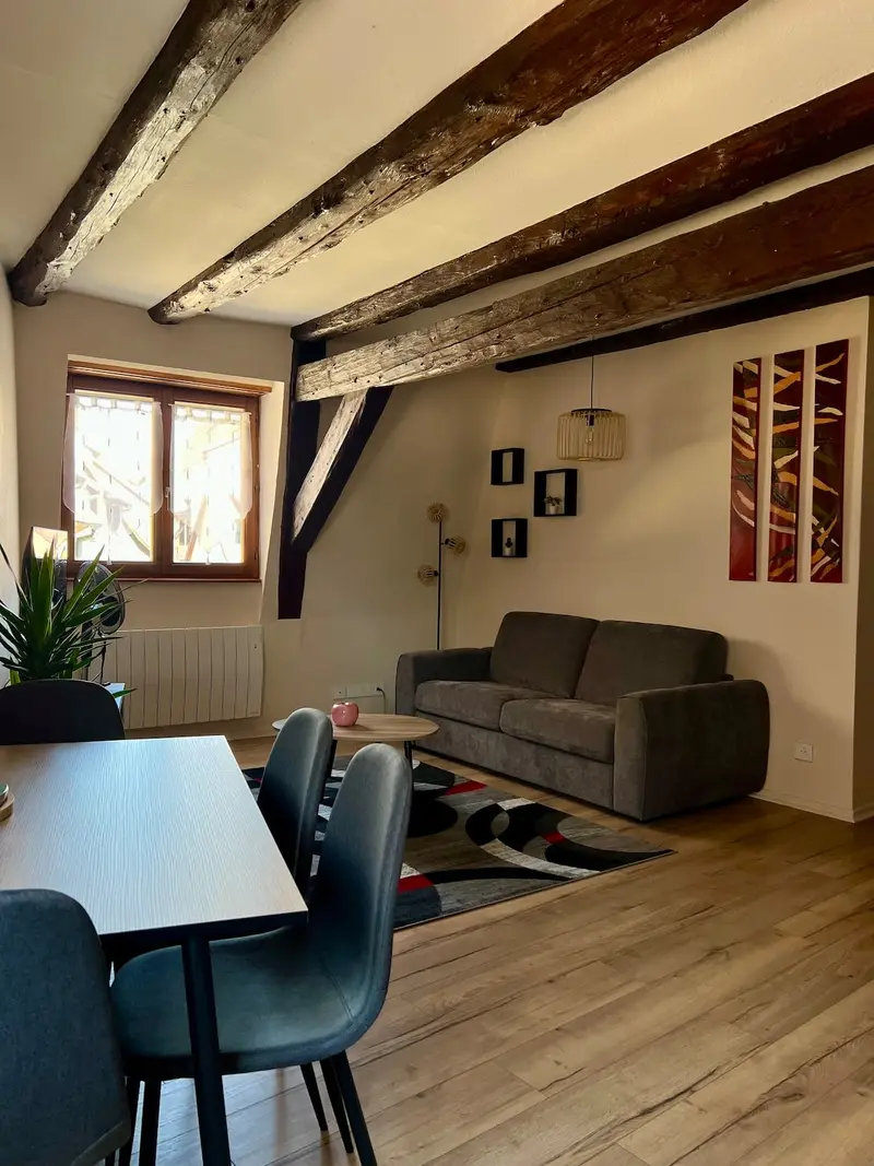 Appartement 2 pièces cocooning au cœur d'Obernai, photo 4