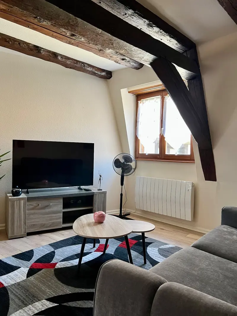 Appartement 2 pièces cocooning au cœur d'Obernai, photo 5