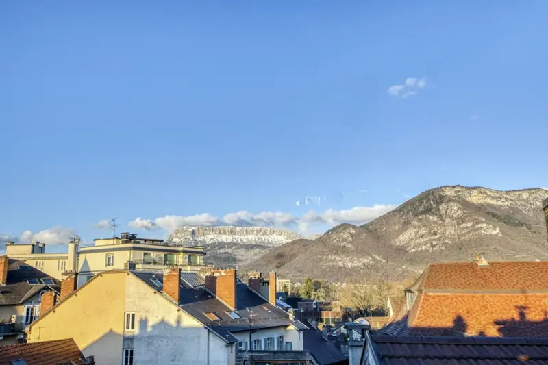 Magnifique appartement en plein cœur d'Annecy, photo 3