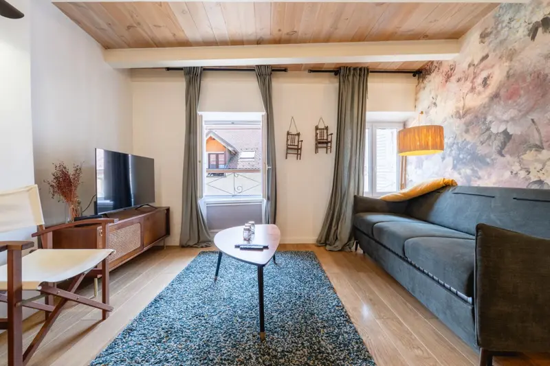 Magnifique appartement en plein cœur d'Annecy, photo 4